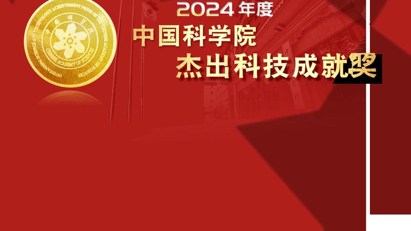 上海数字化解决方案：构建未来企业的基石**
